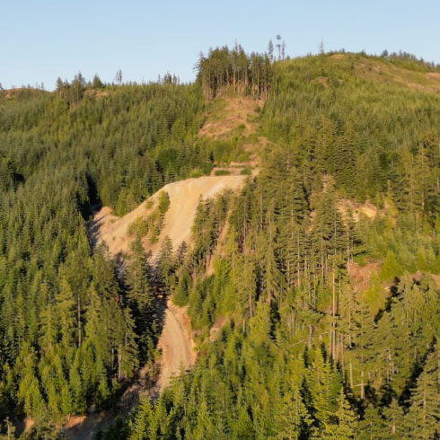 Mount Sicker property