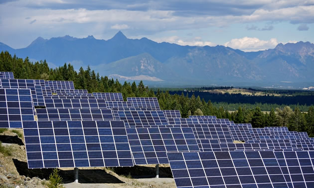 Both Nelson and Kimberley (pictured) have solar projects that are producing power.