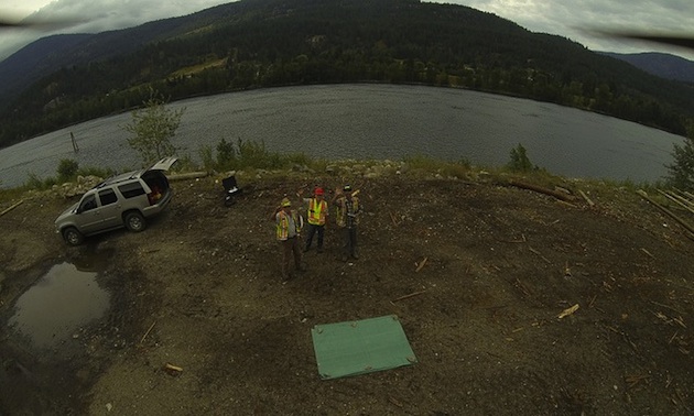 Harrier Aerial Surveys