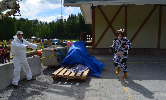 A man and a woman dressed in a cow costume
