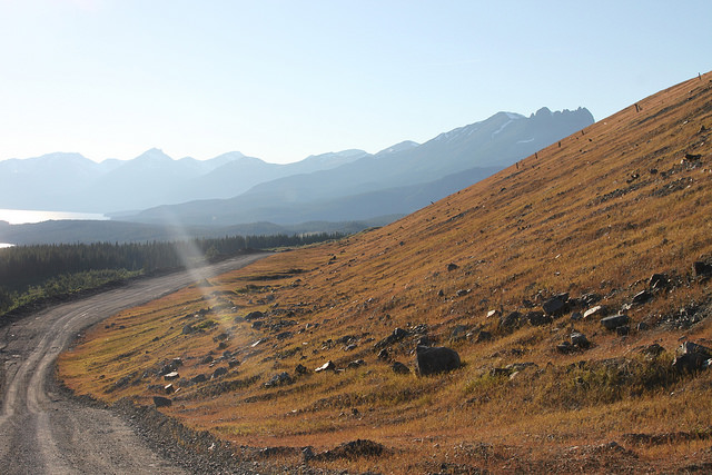 A hillside following hydroseeding 