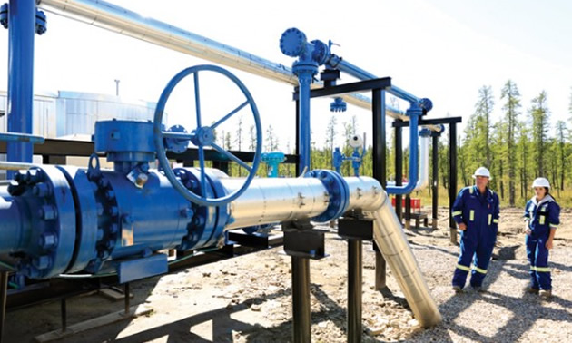 Two workers standing besides pipes. 