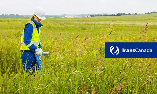 Graphic for TransCanada showing their logo, and worker out in green field.
