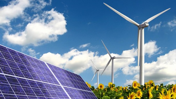 Picture of windfarm with sunflowers in the foreground.