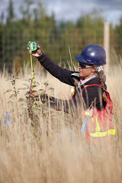 Dr. Amanda Schoonmaker's work will assist oil and gas companies with provincially regulated reclamation of well sites.