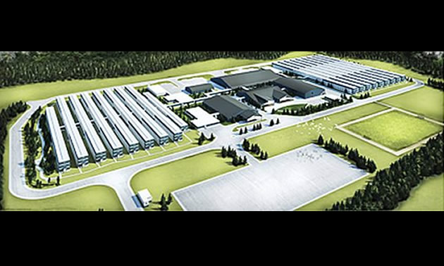 Artist's rendition of the Cedar Valley Lodge Project. 
