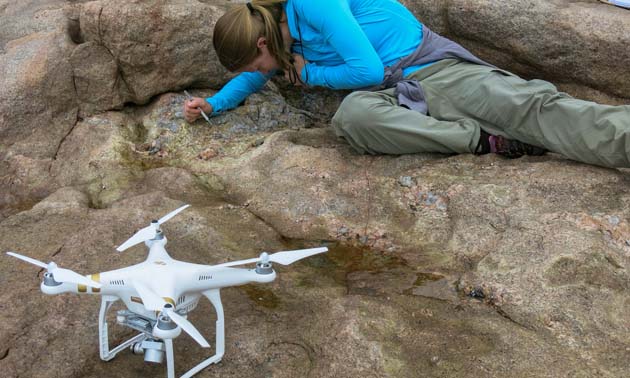 Mapping at Freycient - Tasmania, Australia. Drone use will also be discussed at RFG2018.