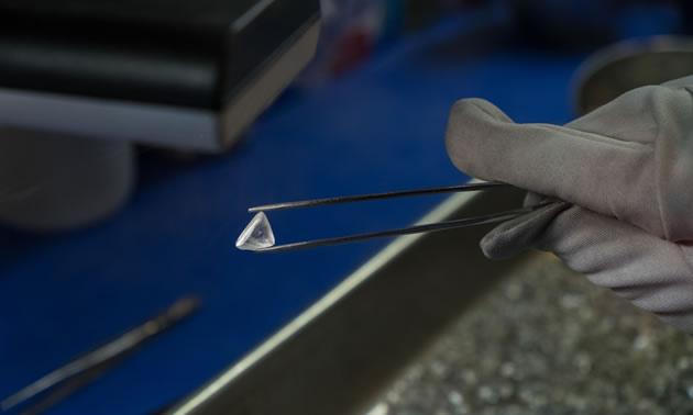 A close-up of a large diamond held by tweezers