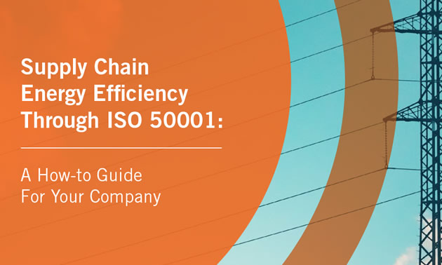 Cover of report by the CEC. 