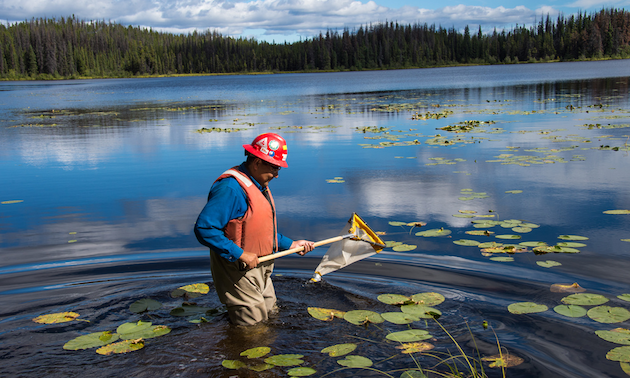 Man standing in a lake holding a fishing net.