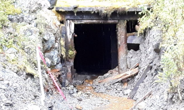 “In 1982 two geologists wrote in their report that they couldn’t see any mineralization, and they walked all over it.”