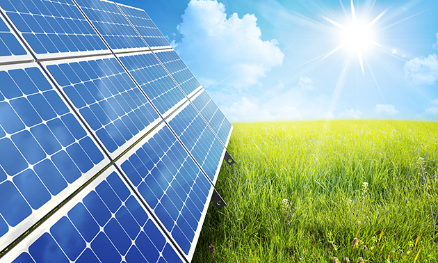 Row of solar panels.