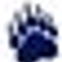 Bearclaw Capital Corp.