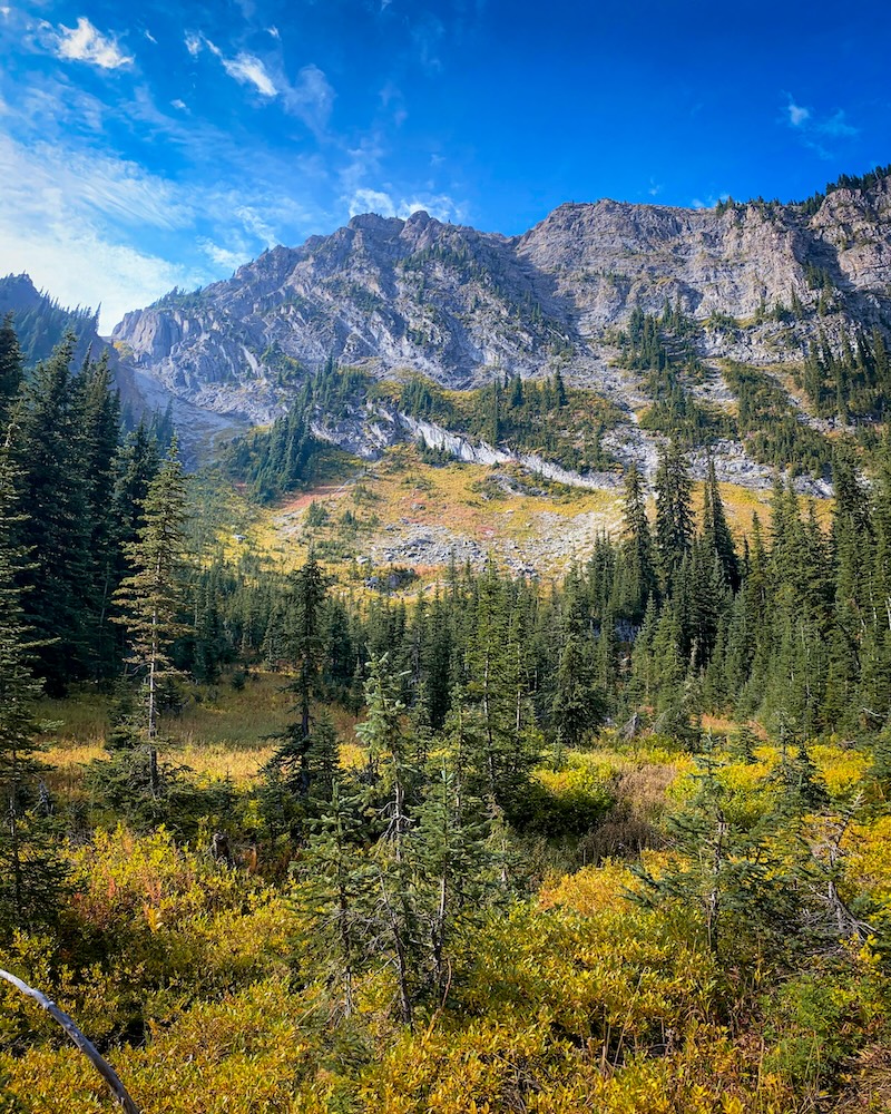 Mountain views from Sparwood