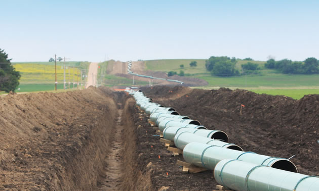 TransCanada announces termination of Energy East Pipeline and Eastern Mainline Projects