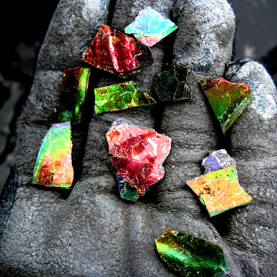 Korite finds rare gems in Alberta