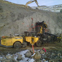 Veris Gold Corp. appoints Restructuring Special Committee