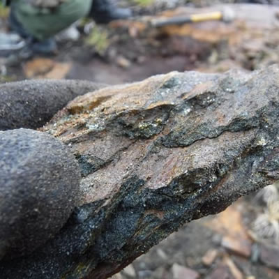 Evolving Gold discovers 1.2 km long sulphide-hosting basalt target