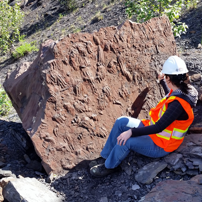 British Columbia’s new fossil protocol