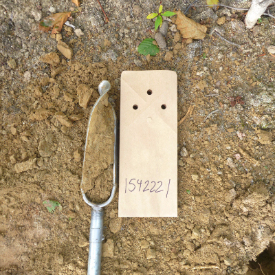 What’s underground? Take a look at the trees to find minerals in the bedrock