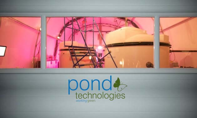 Pond Technologies: First Commercial Carbon Abatement Algae Plant to be built at Stelco