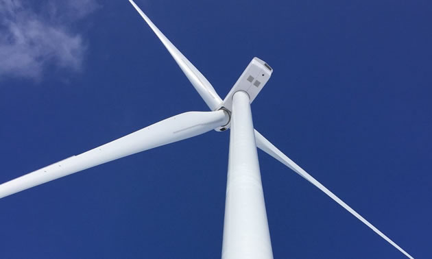 BluEarth celebrates commissioning at Bull Creek Wind Facility near Provost, Alberta