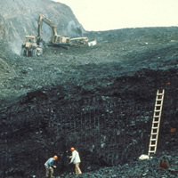 Victoria puts one-year moratorium on future coal development in Northern BC