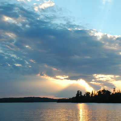 Wesdome announces early results From Moss Lake