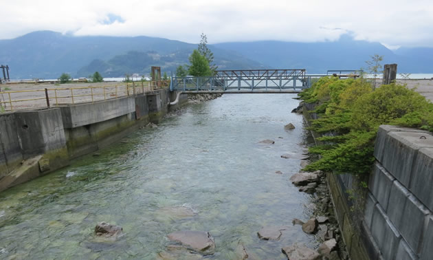 Feed contracts awarded for Woodfibre LNG Project