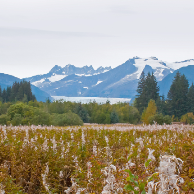 B.C. and Alaska strengthen commitment to protect shared environment