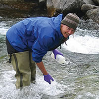 Alarm or Alarmist—Flathead Beacon raises concern over BC Coal Mining